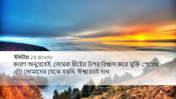ইফিচীয়া 2:8 BENIRV Bible Verse Image