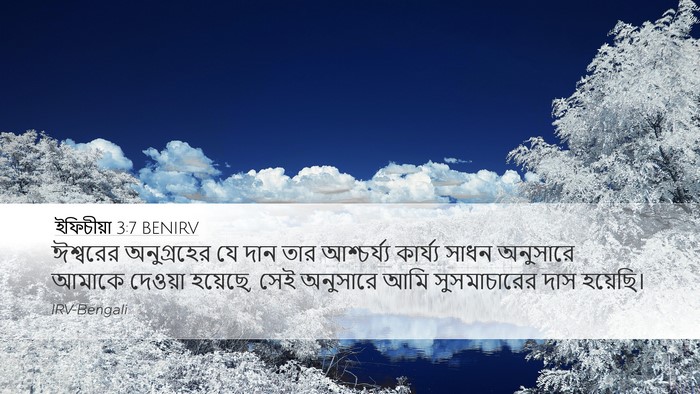 ইফিচীয়া 3:7 BENIRV Bible Verse Image