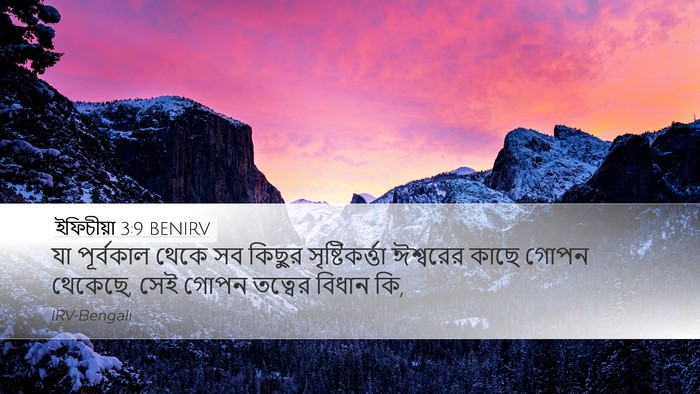 ইফিচীয়া 3:9 BENIRV Bible Verse Image