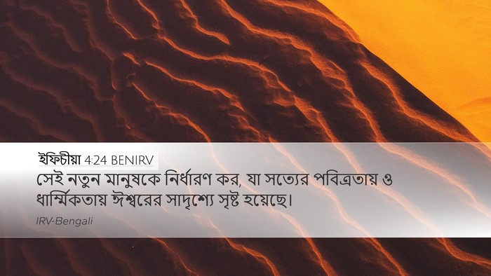 ইফিচীয়া 4:24 BENIRV Bible Verse Image