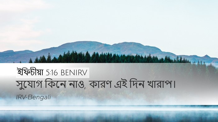 ইফিচীয়া 5:16 BENIRV Bible Verse Image