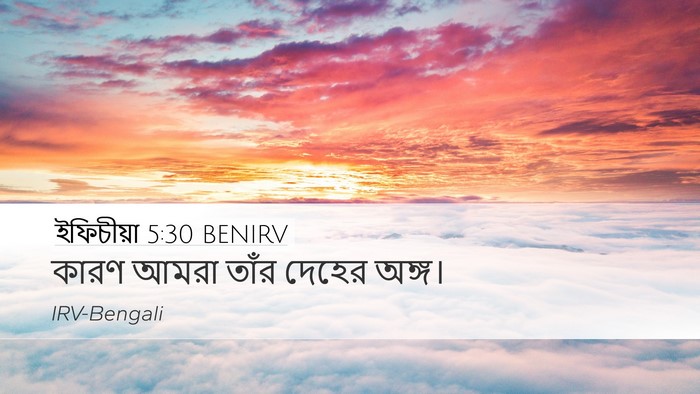 ইফিচীয়া 5:30 BENIRV Bible Verse Image