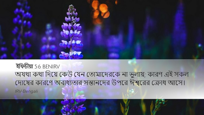 ইফিচীয়া 5:6 BENIRV Bible Verse Image