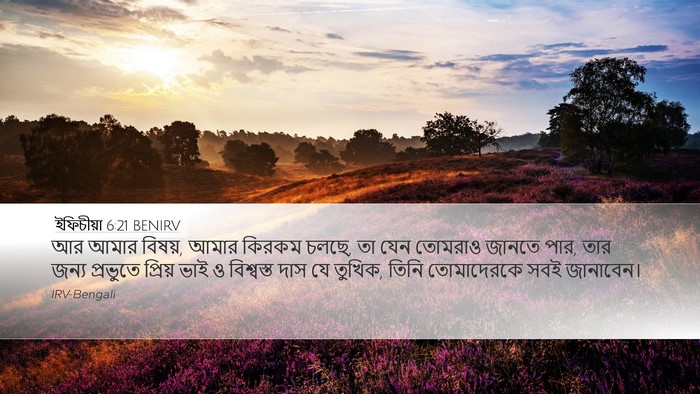 ইফিচীয়া 6:21 BENIRV Bible Verse Image