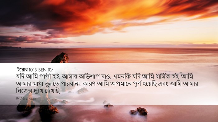 ইয়োব 10:15 BENIRV Bible Verse Image