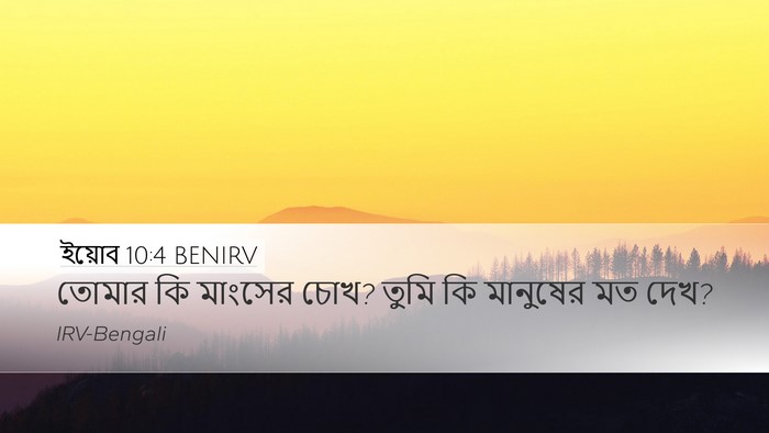 ইয়োব 10:4 BENIRV Desktop Wallpaper - তোমার কি মাংসের - Desktop Bible Verse Wallpaper