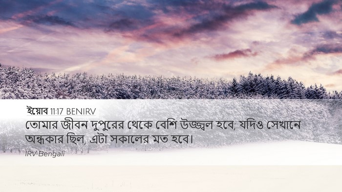 ইয়োব 11:17 BENIRV Bible Verse Image