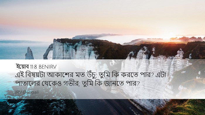 ইয়োব 11:8 BENIRV Bible Verse Image