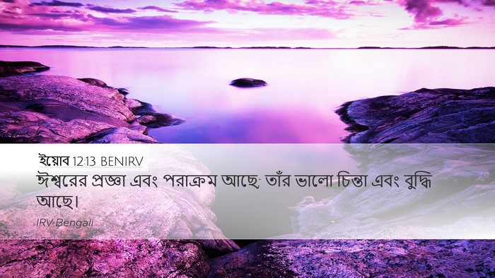ইয়োব 12:13 BENIRV Bible Verse Image