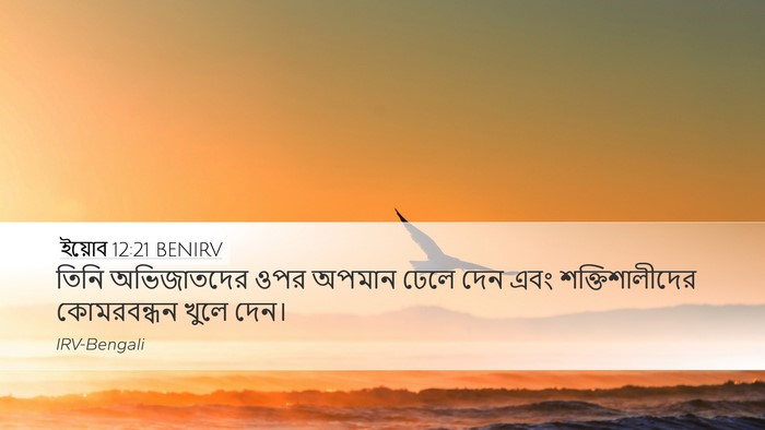 ইয়োব 12:21 BENIRV Bible Verse Image