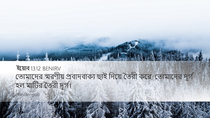 ইয়োব 13:12 BENIRV Bible Verse Image