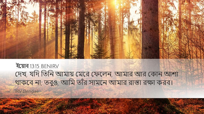 ইয়োব 13:15 BENIRV Bible Verse Image