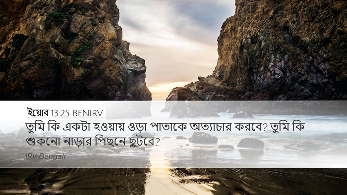 ইয়োব 13:25 BENIRV Bible Verse Image