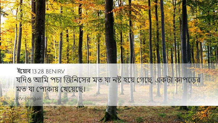 ইয়োব 13:28 BENIRV Bible Verse Image