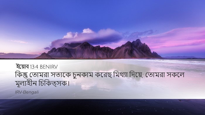 ইয়োব 13:4 BENIRV Bible Verse Image