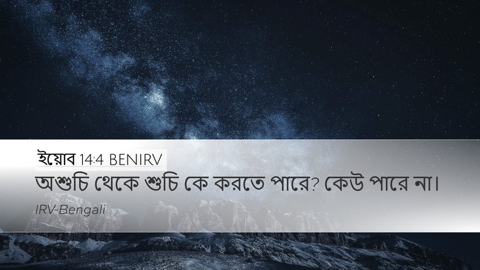 ইয়োব 14:4 BENIRV Bible Verse Image