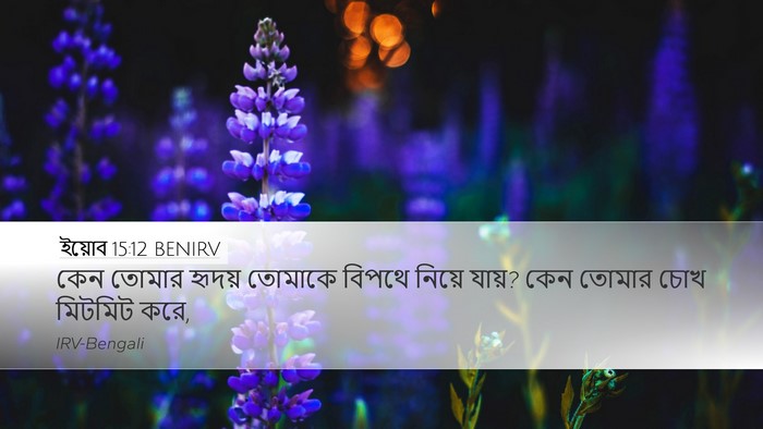 ইয়োব 15:12 BENIRV Bible Verse Image