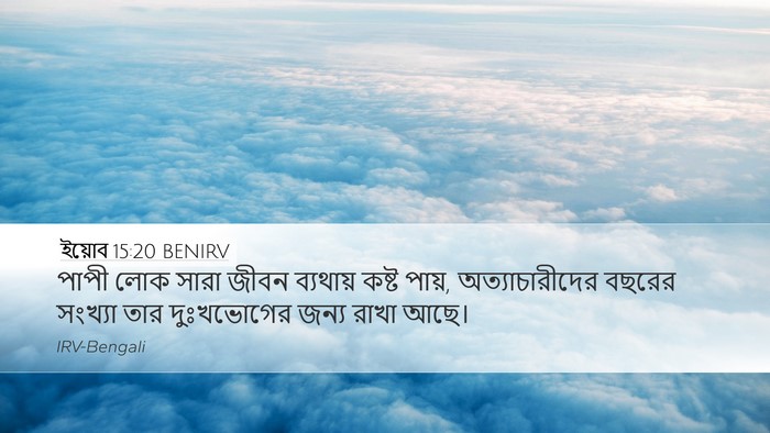 ইয়োব 15:20 BENIRV Bible Verse Image