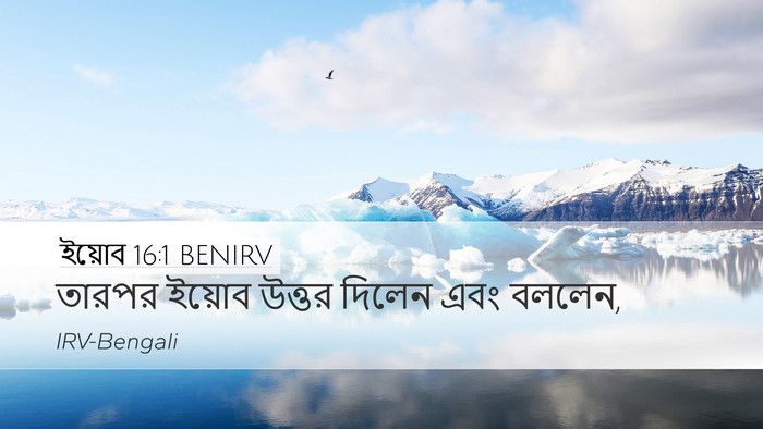 ইয়োব 16:1 BENIRV Desktop Wallpaper - তারপর ইয়োব উত্তর - Desktop Bible Verse Wallpaper