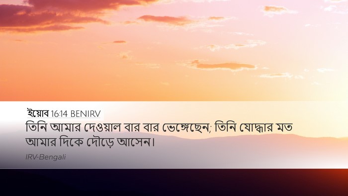 ইয়োব 16:14 BENIRV Bible Verse Image