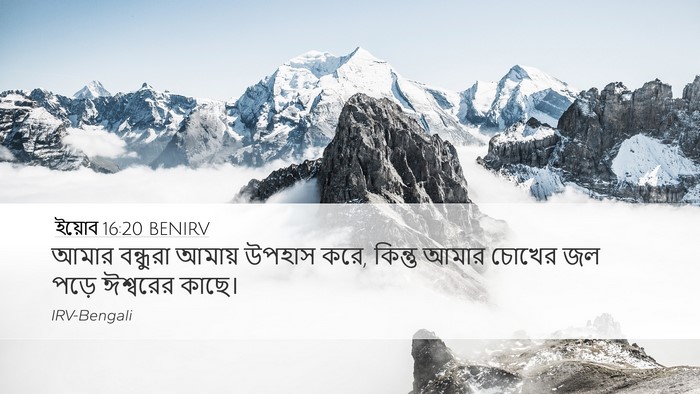 ইয়োব 16:20 BENIRV Bible Verse Image
