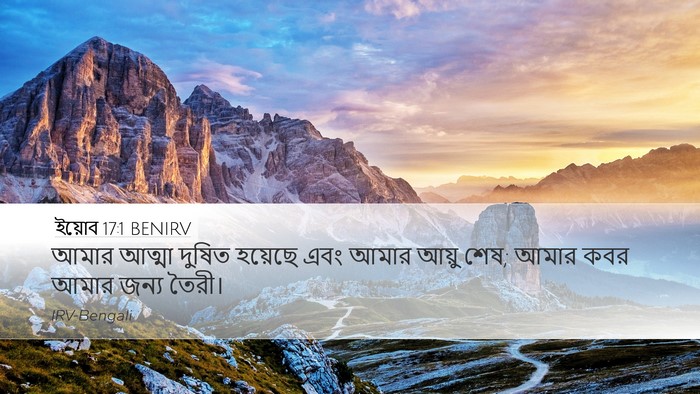 ইয়োব 17:1 BENIRV Bible Verse Image