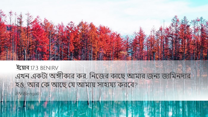 ইয়োব 17:3 BENIRV Bible Verse Image