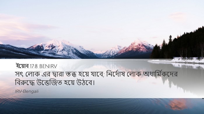 ইয়োব 17:8 BENIRV Bible Verse Image