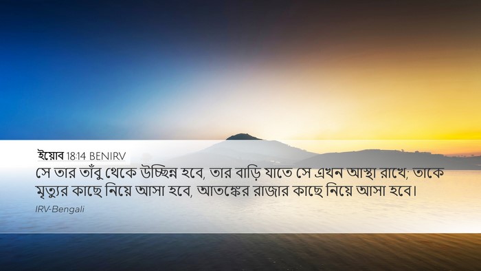 ইয়োব 18:14 BENIRV Bible Verse Image