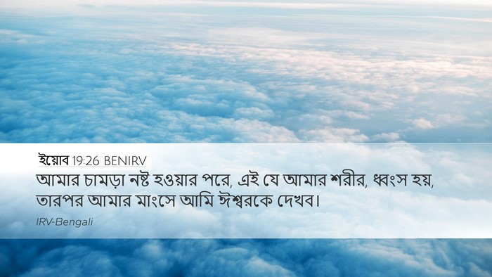 ইয়োব 19:26 BENIRV Bible Verse Image