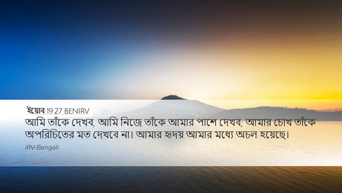 ইয়োব 19:27 BENIRV Bible Verse Image