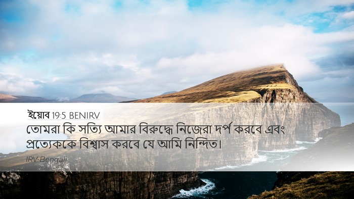 ইয়োব 19:5 BENIRV Bible Verse Image