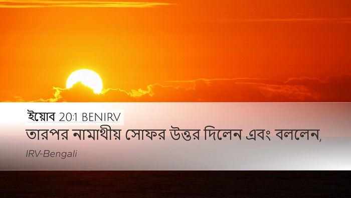 ইয়োব 20:1 BENIRV Bible Verse Image