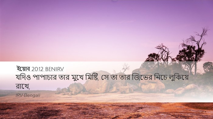 ইয়োব 20:12 BENIRV Bible Verse Image
