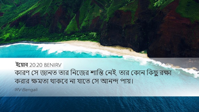ইয়োব 20:20 BENIRV Bible Verse Image