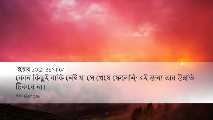 ইয়োব 20:21 BENIRV Desktop Wallpaper - কোন কিছুই বাকি নেই - Desktop Bible Verse Wallpaper