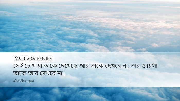 ইয়োব 20:9 BENIRV Bible Verse Image