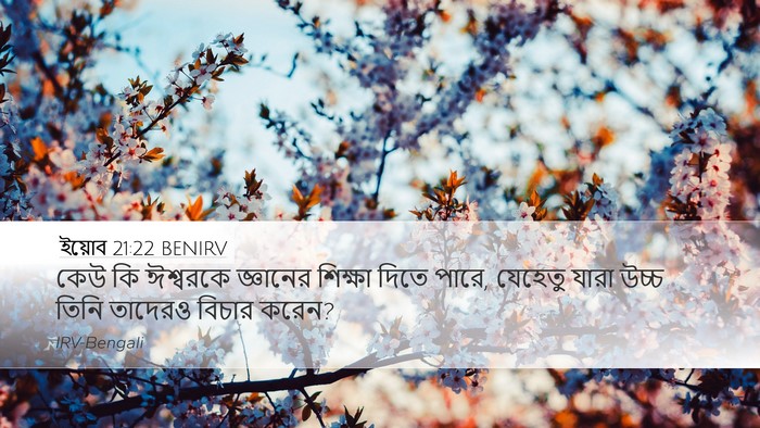 ইয়োব 21:22 BENIRV Bible Verse Image