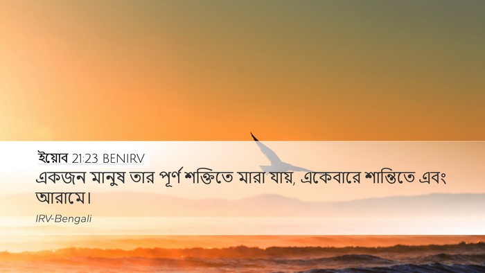 ইয়োব 21:23 BENIRV Bible Verse Image