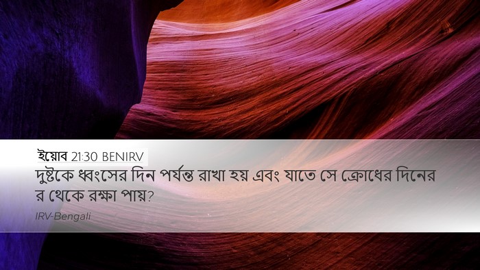 ইয়োব 21:30 BENIRV Bible Verse Image