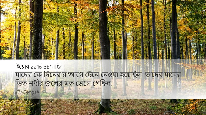 ইয়োব 22:16 BENIRV Bible Verse Image