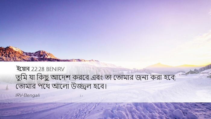 ইয়োব 22:28 BENIRV Bible Verse Image