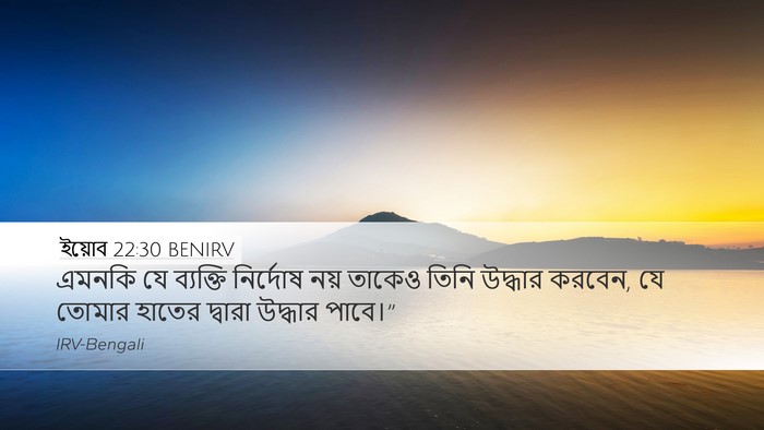 ইয়োব 22:30 BENIRV Bible Verse Image