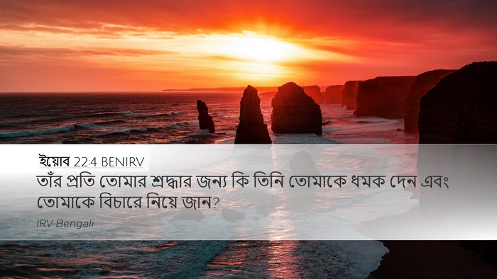ইয়োব 22:4 BENIRV Bible Verse Image