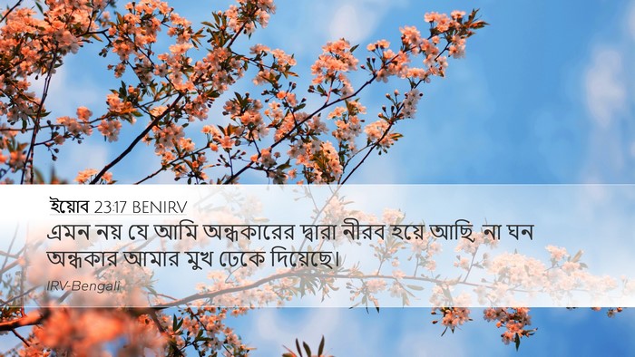 ইয়োব 23:17 BENIRV Bible Verse Image