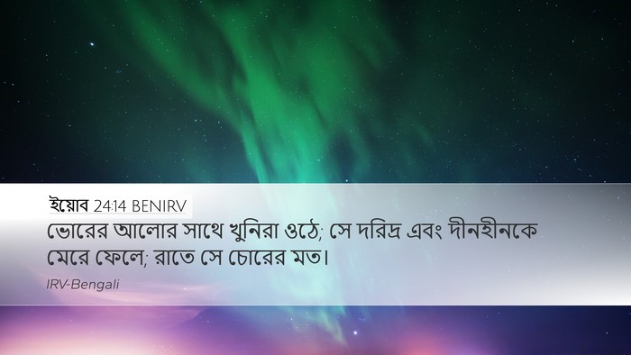 ইয়োব 24:14 BENIRV Bible Verse Image