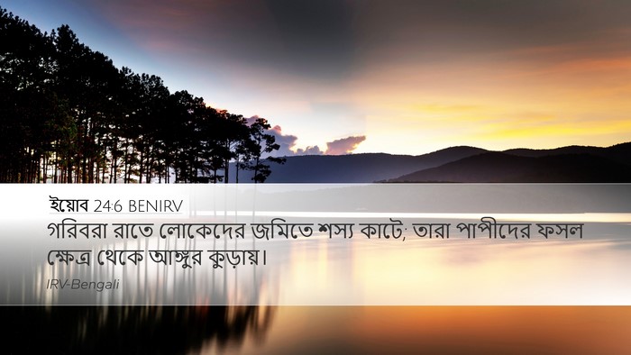 ইয়োব 24:6 BENIRV Bible Verse Image