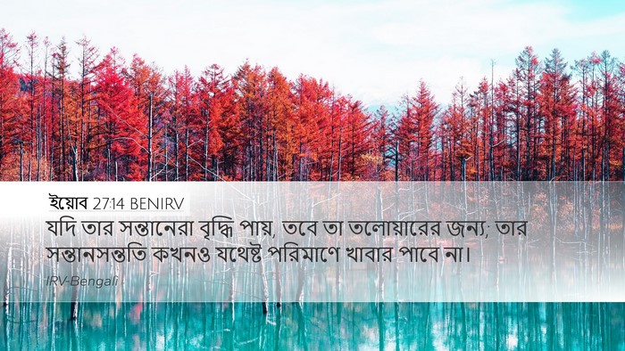 ইয়োব 27:14 BENIRV Bible Verse Image