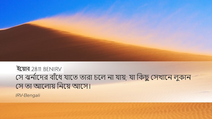 ইয়োব 28:11 BENIRV Bible Verse Image