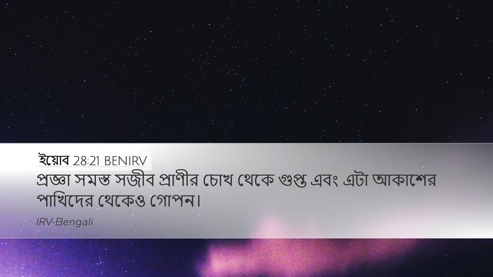 ইয়োব 28:21 BENIRV Bible Verse Image